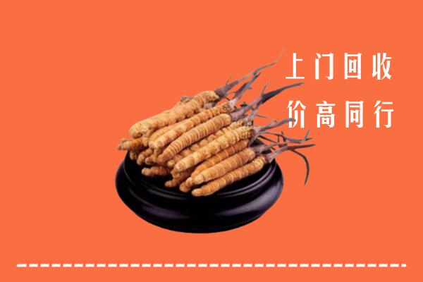 高价求购：凉山甘洛县回收散虫草