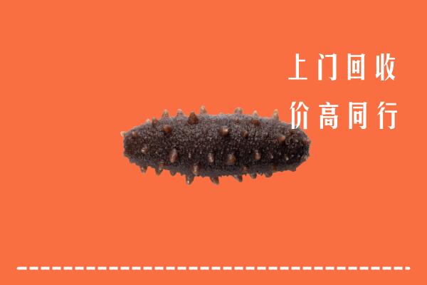 高价求购：凉山甘洛县回收海参