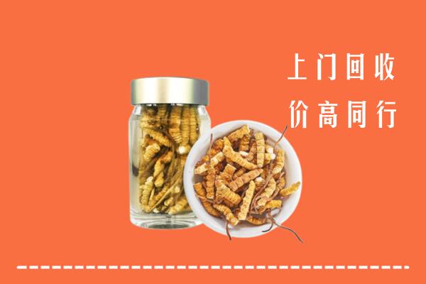 凉山甘洛县回收冬虫夏草